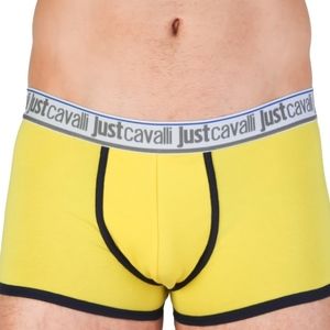 Just Cavalli boxer briefs
